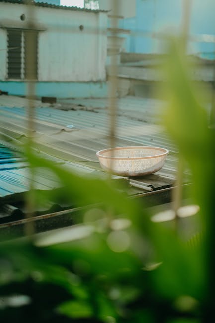 Photo by Pew Nguyen on Pexels